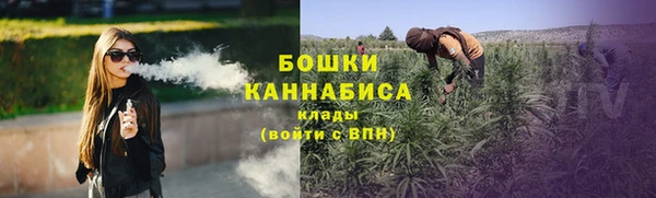 прущая мука Вяземский