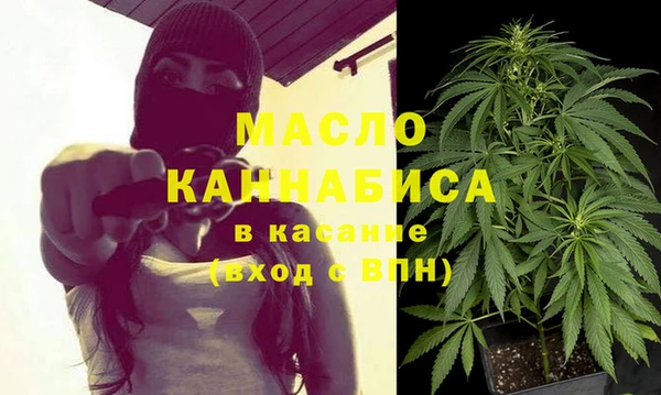 сатива Вязьма
