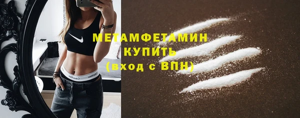 прущая мука Вяземский