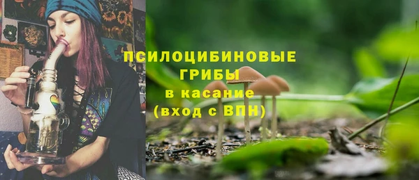 сатива Вязьма