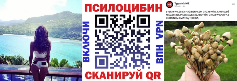 Галлюциногенные грибы Cubensis  Купить где  Кудрово 