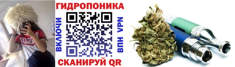 Каннабис SATIVA & INDICA  Купить  Кудрово 